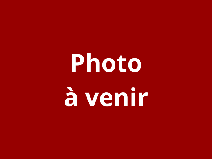 Sans titre (24 x 18 po)